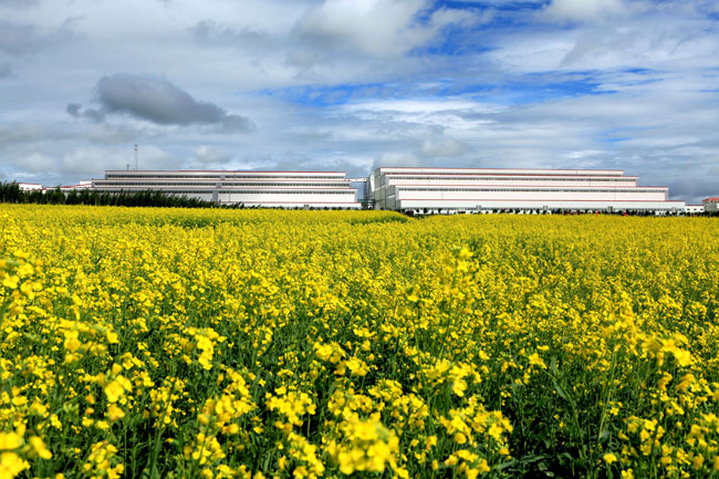 中国黄金集团内蒙古矿业有限公司